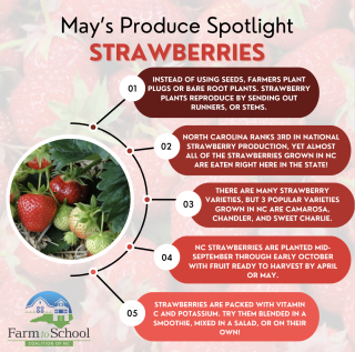 Strawberry Harvest of the Month Graphic - image